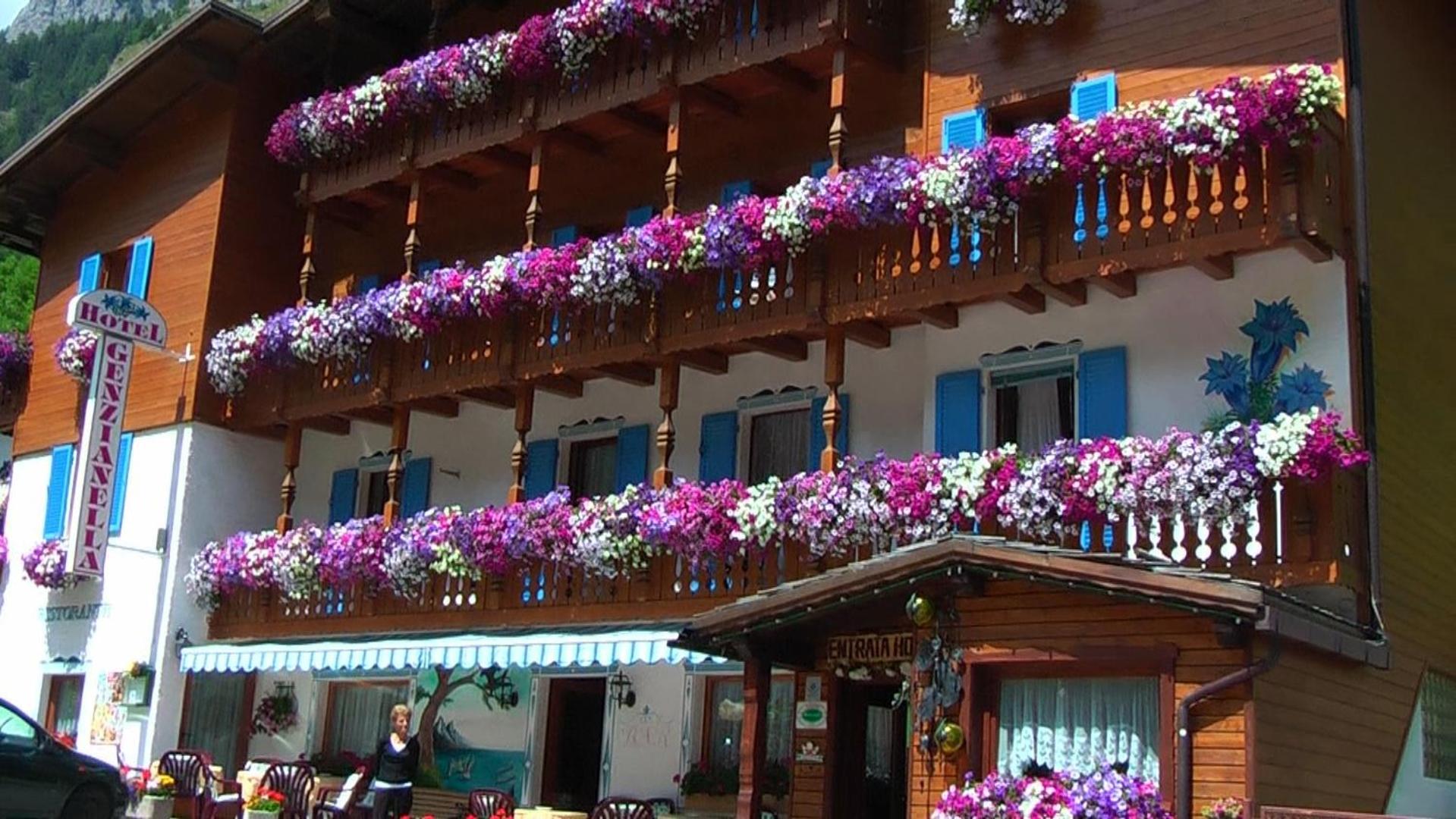 Albergo Genzianella Rocca Pietore Exteriér fotografie
