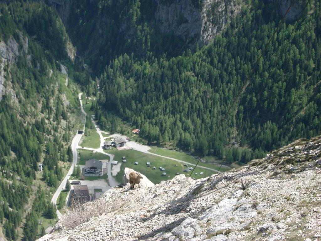 Albergo Genzianella Rocca Pietore Exteriér fotografie